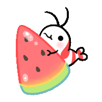 Eating A Watermelon Shy Shrimp Sticker - Eating A Watermelon Shy Shrimp Pikaole Stickers