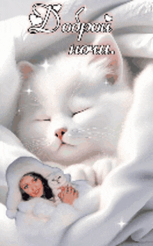 a picture of a woman sleeping next to a white cat with the words dopom written above it