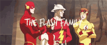 The Flash Dc GIF - The Flash Dc The Flash Family GIFs