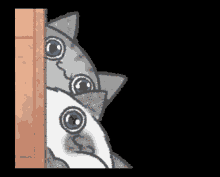 cat nosy