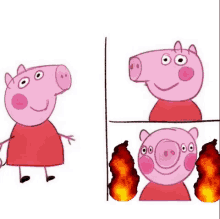 4563 Peppa Pig GIF