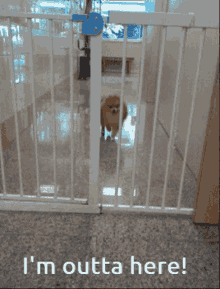 Out Of Jail Im Outta Here GIF - Out Of Jail Im Outta Here Bye GIFs