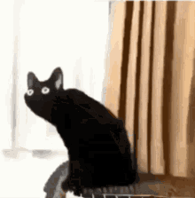 Gato Distorsionado Gato GIF - Gato Distorsionado Gato Meme GIFs