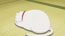 a close up of a white cat 's face with yellow eyes