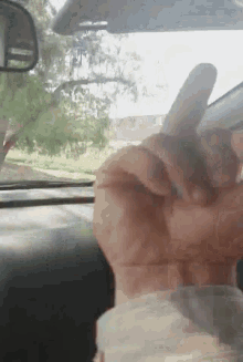 a person giving a middle finger in a car with trees in the background
