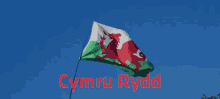 Annibynieath Indy Wales GIF - Annibynieath Indy Wales Wales GIFs