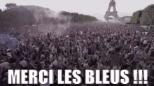 Merci Les Bleus GIF - Merci Les Bleus GIFs