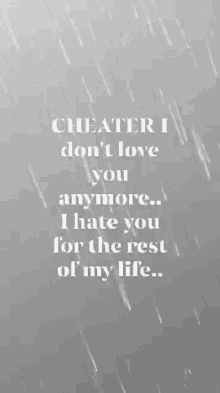 Cheater I Dont Love You GIF - Cheater I Dont Love You Two Face GIFs