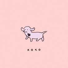 xoxo dog cute pink walking