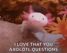 Axolotl Smile GIF - Axolotl Smile Happy GIFs