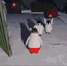 Funny Penguin Fight GIF - Funny Penguin Fight GIFs