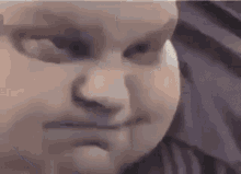 Fat Computer GIF - Fat Computer Typing GIFs