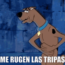 Scooby Doo Con Dolor De Estomago GIF - Tripas Panza Pansa GIFs