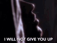 I Will Not Give You Up Wont Leave GIF - I Will Not Give You Up Wont Leave Love GIFs