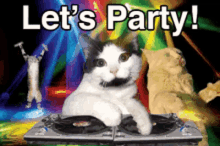 Dj Cat Lets Party GIF - Dj Cat Lets Party Dance GIFs
