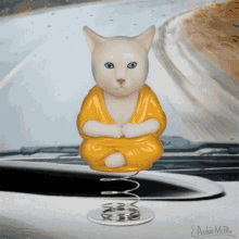 meditate buddha dash cat