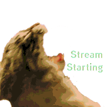 stream stream starting car scream vapor