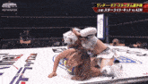two women are wrestling in a ring with #stardom on the bottom