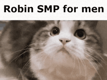 Robin Smp For Men GIF - Robin Smp For Men GIFs