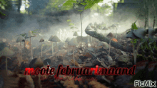 a picture of mushrooms with the words mooie februari maand written in red