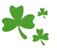 three green clovers on a white background