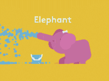 elephant blowwater