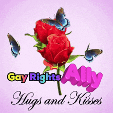 a picture of two red roses with butterflies and the words gay rights ally hugs and kisses