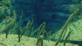 a group of eels are swimming in a tank with a blue background