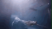 Mermaid Swim GIF - Mermaid Swim Fabulous GIFs