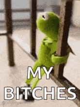 kermit the frog is sitting on a railing holding onto a railing and saying `` my bitches '' .