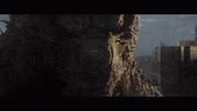 a close up of a rocky cliff with a city in the background .
