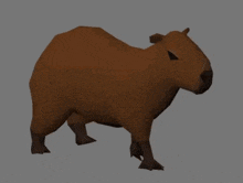 Capybara Walk GIF - Capybara Walk Walking GIFs