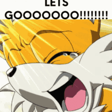 tails sonic lets go lets gooo lfg