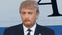 Donald Trump Face Swap GIF - Donald Trump Face Swap GIFs