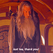 Gandalf Wizard GIF - Gandalf Wizard Lord Of The Rings GIFs