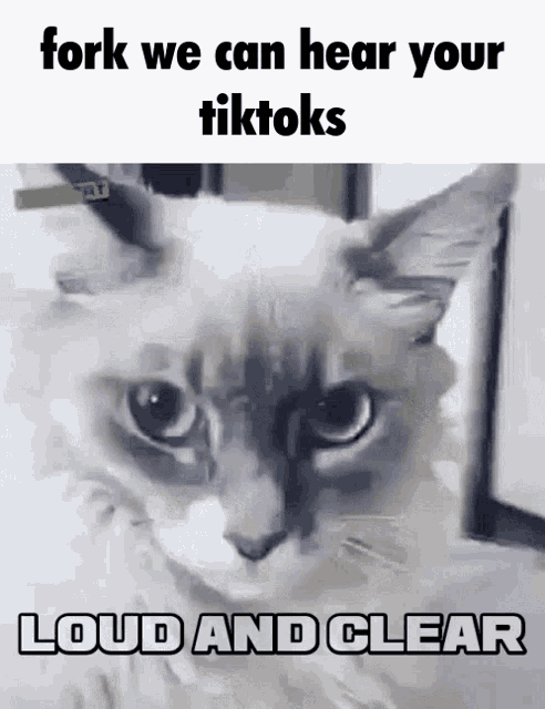 Fork Tiktok GIF - Fork Tiktok Samibutnotactually - Discover & Share GIFs