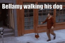 Bellamy Dog Walking GIF - Bellamy Dog Walking Chicken Walk GIFs