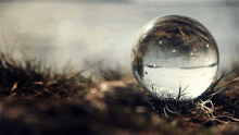 Marble Reflection GIF - Marble Reflection Water Reflection GIFs