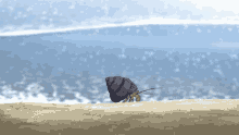 Another Anime GIF - Another Anime Beach GIFs