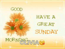 Good Morning Have A Nice Day GIF - Good Morning Have A Nice Day Have A Great Sunday GIFs