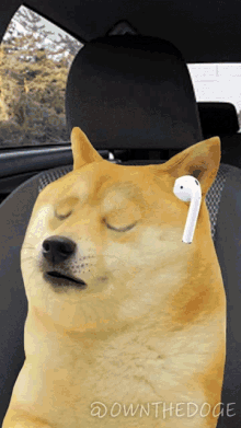 Feeling The Music The Doge Nft GIF - Feeling The Music The Doge Nft Listening To Music GIFs