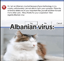 an albanian virus message is displayed with a cat in the background