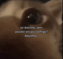 a close up of a dog 's eye with the words oii docinho vem assistir oni pici comigo