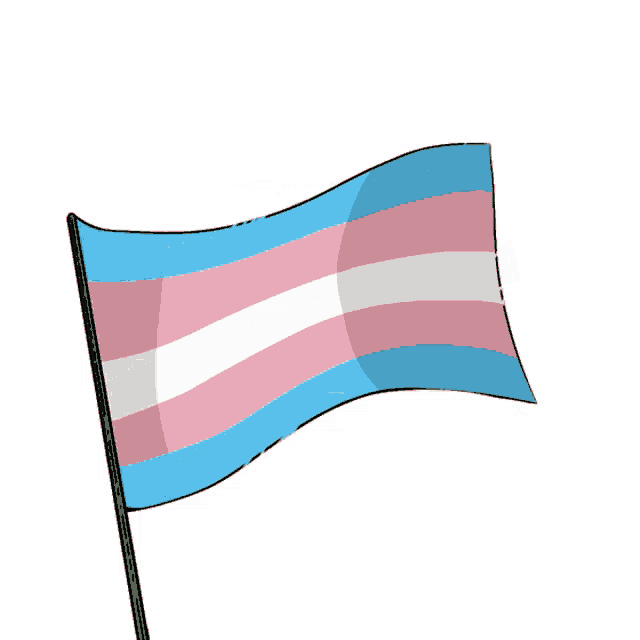 https://media.tenor.com/7EIXxL6KTl4AAAAe/trans-transgender-flag.png