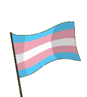 Trans Transgender Flag Sticker - Trans Transgender Flag Pride Stickers