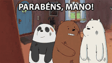 Parabens Mano Ice Bear GIF - Parabens Mano Ice Bear Panda Bear GIFs