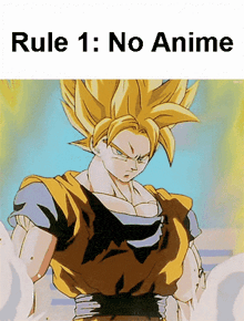 a picture of a cartoon character with the words rule 1 : no anime below it