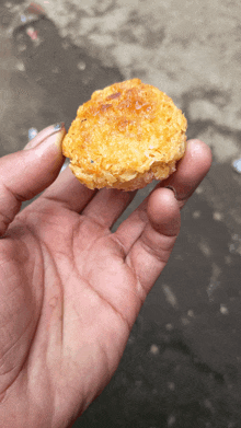 a hand is holding a piece of food in it