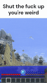 a screenshot of a minecraft game with the words shut the fuck up you 're weird