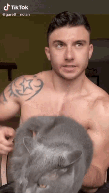 Gato Puto GIF - Gato Puto GIFs
